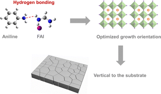 Graphical abstract: Regulating the crystallization dynamics through hydrogen bonding for high efficiency tin halide perovskite solar cells