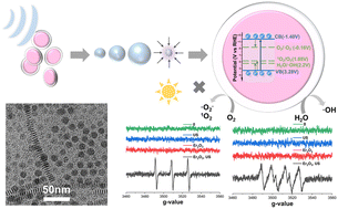 Graphical abstract: Erbium oxide nanoplates as a sonosensitizer devoid of photosensitivity