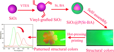 Graphical abstract: Permanent irreversible structural color based on core–shell chemically bonded SiO2@P(St-BA) particles