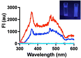 Graphical abstract: Unusual photophysics of geranic acid deep eutectic solvents