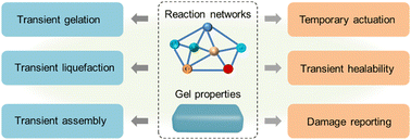 Graphical abstract: Transient regulation of gel properties by chemical reaction networks
