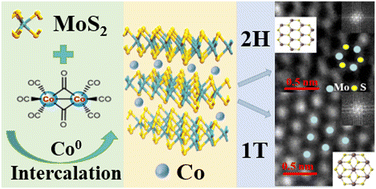 Graphical abstract: Exfoliation of MoS2 by zero-valent transition metal intercalation