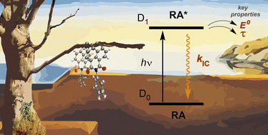 Graphical abstract: Quantitative prediction of excited-state decay rates for radical anion photocatalysts