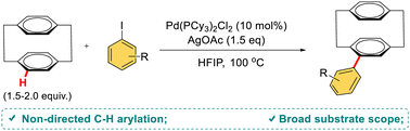Graphical abstract: Non-directed Pd-catalysed C–H arylation of [2.2]paracyclophane