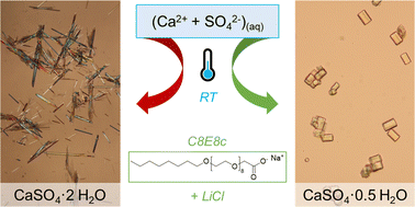 Graphical abstract: Organic solvent-free synthesis of calcium sulfate hemihydrate at room temperature