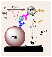Graphical abstract: Silver nanoparticles in electrochemical immunosensing and the emergence of silver–gold galvanic exchange detection