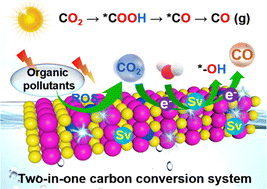 Graphical abstract: Boosting mineralized organic pollutants by using a sulfur-vacancy CdS photocatalyst