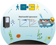 Graphical abstract: Photo-enhanced electrochemical and colorimetric dual-modal aptasensing for aflatoxin B1 detection based on graphene–gold Schottky contact