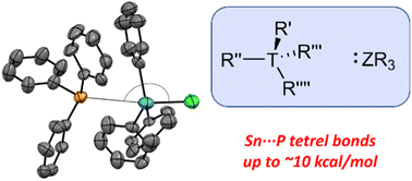 Graphical abstract: Tuneable tetrel bonds between tin and heavy pnictogens