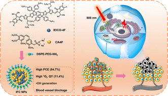 Graphical abstract: Vascular disruption agent and phototherapeutic assembled nanoparticles for enhanced tumor inhibition