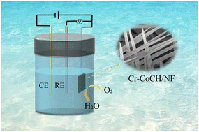 Graphical abstract: Chromium doping enabled improvement in alkaline seawater oxidation over cobalt carbonate hydroxide nanowire array