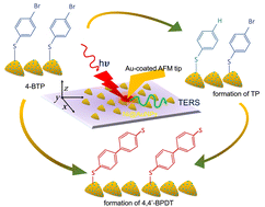 Graphical abstract: Tip-enhanced Raman imaging of plasmon-driven dimerization of 4-bromothiophenol on nickel-decorated gold nanoplate bimetallic nanostructures