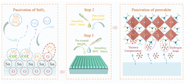 Graphical abstract: Regulating buried interface properties and alleviating micro-strain of crystals for efficient perovskite solar cells