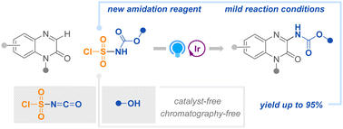 Graphical abstract: N-Chlorosulfonyl carbamate-enabled, photoinduced amidation of quinoxalin-2(1H)-ones