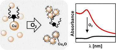 Graphical abstract: NHC stabilized copper nanoparticles via reduction of a copper NHC complex