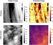 Graphical abstract: Cycle-dependent morphology and surface potential of germanium nanowire anode electrodes