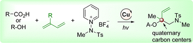 Graphical abstract: Photoinduced copper-catalyzed selective three-component 1,2-amino oxygenation of 1,3-dienes