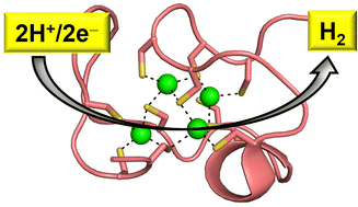 Graphical abstract: Converting a cysteine-rich natively noncatalytic protein to an artificial hydrogenase