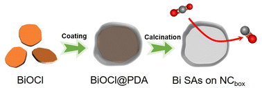 Graphical abstract: N-doped carbon nanocage-anchored bismuth atoms for efficient CO2 reduction