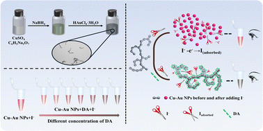 Graphical abstract: Multicolor colorimetric detection of dopamine based on iodide-responsive copper–gold nanoparticles