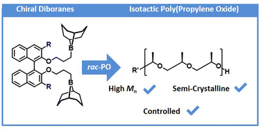 Graphical abstract: Sterically demanding binaphthol-based chiral diboranes for metal-free and isotactic poly(propylene oxide)