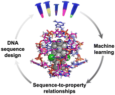 Graphical abstract: Beyond nature's base pairs: machine learning-enabled design of DNA-stabilized silver nanoclusters