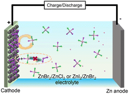 Graphical abstract: Zinc-dual-halide complexes suppressing polyhalide formation for rechargeable aqueous zinc–halogen batteries