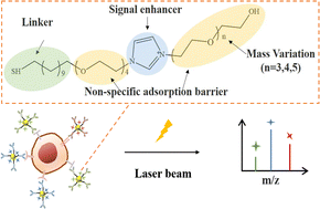 Graphical abstract: Imidazolium-based mass tags for protein biomarker detection using laser desorption ionization mass spectrometry
