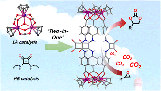 Graphical abstract: Zirconium metal–organic cage decorated with squaramides imparts dual activation for chemical fixation of CO2 under mild conditions