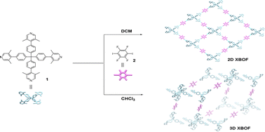 Graphical abstract: Two and three-dimensional halogen-bonded frameworks: self-assembly influenced by crystallization solvents