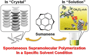 Graphical abstract: Sumanene-stacked supramolecular polymers. Dynamic, solvation-directed control