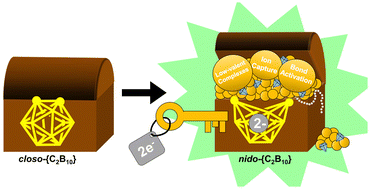 Graphical abstract: Redox-active carborane clusters in bond activation chemistry and ligand design