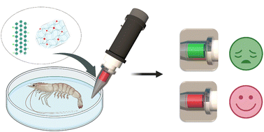 Graphical abstract: Integrated portable food safety testing pipette based on a color-switchable fluorescence probe for rapid visual discrimination of mild food deterioration