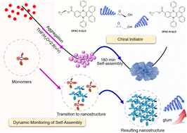 Graphical abstract: Dynamic monitoring of self-assembly by confining conformational changes of butterfly-motion-based molecules