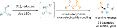 Graphical abstract: Visible-light induced cross-electrophile coupling of imines and anhydrides to synthesize α-amino ketones