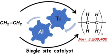 Graphical abstract: A strategy for high ethylene polymerization performance using titanium single-site catalysts