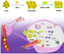 Graphical abstract: NIR-II photoacoustic imaging-guided synergistic cancer therapy with a tumor-targeting copper selenide-iron manganese layered double hydroxide nanocomplex