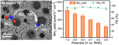 Graphical abstract: 3D cauliflower-like Ni foam: a high-efficiency electrocatalyst for ammonia production via nitrite reduction