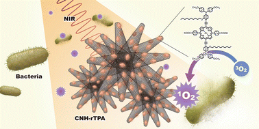 Graphical abstract: An antibacterial conjugate of carbon nanohorns for NIR-light mediated peri-implantitis treatment