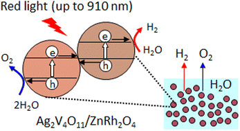 Graphical abstract: Near-infrared light-inducible Z-scheme overall water-splitting photocatalyst without an electron mediator