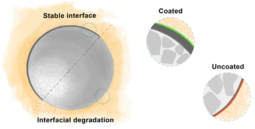 Graphical abstract: Facile solid-state synthesis of a layered Co-free, Ni-rich cathode material for all-solid-state batteries