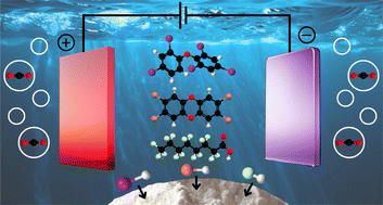 Graphical abstract: Advanced electrocatalytic redox processes for environmental remediation of halogenated organic water pollutants