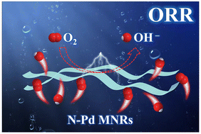 Graphical abstract: Nitrogen-intercalated Pd metallene nanoribbons with optimized electronic structure for oxygen reduction catalysis