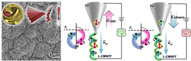 Graphical abstract: Chiral mesostructured NiFe2O4 films with chirality induced spin selectivity