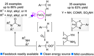 Graphical abstract: FeCl3-catalyzed oxidative amidation of benzylic C–H bonds enabled by a photogenerated chlorine-radical