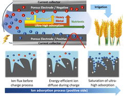 Graphical abstract: Capacitive deionization system with ultra-high salt adsorption performance: from lab design to agricultural applications