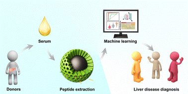 Graphical abstract: Zwitterionic mesoporous engineering aids peptide-dependent pattern profiling for identification of different liver diseases