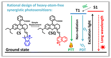 Graphical abstract: Synergistic phototherapy of NIR wavelength xanthene-quinoline salt-based heavy-atom-free photosensitizers for tumor therapy
