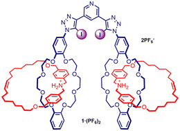 Graphical abstract: Enhanced anion recognition by ammonium [2]catenane functionalisation of a halogen bonding acyclic receptor