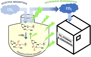 Graphical abstract: Formation of choline salts and dipolar ions for CO2 reactive eutectic solvents